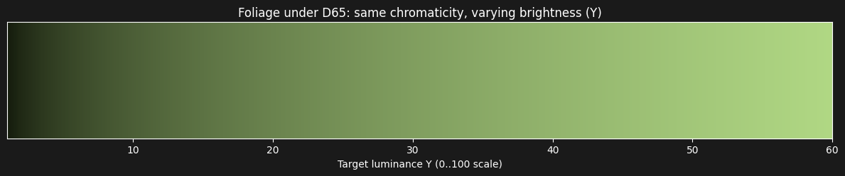 Differenty brightness levels for the same chroma